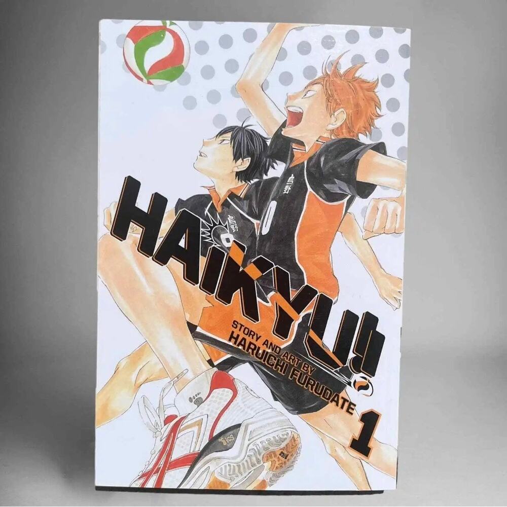 Haikyu!! Volume 1 Manga English Coquette Paperback Comic Book Japanese